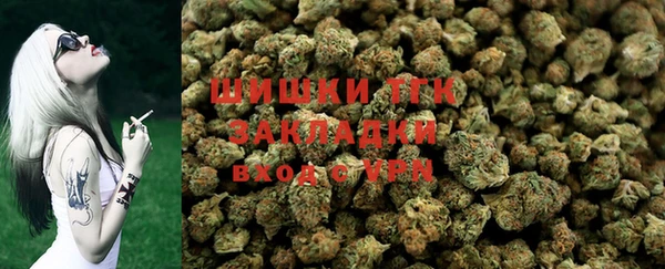 сатива Майский