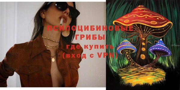 сатива Майский
