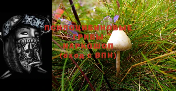 сатива Майский