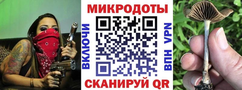 Псилоцибиновые грибы Psilocybe  магазин  наркотиков  Ачхой-Мартан 