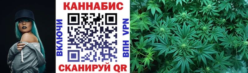 Канабис AK-47  Ачхой-Мартан 
